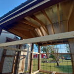 image000000 (7)